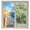blue, variant on Summer Beach Window Privacy Film, Sunset Ocean Coastal Nautical Static Cling UV Sun Blocking Heat Control Window Tint Day and Night, Non-Adhesive Reusable One Way Windows Privacy Cover 35.4''x78.7''