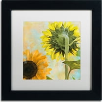 Trademark Fine Art "Soleil II" Canvas Art by Color Bakery, White Matte, Black Frame