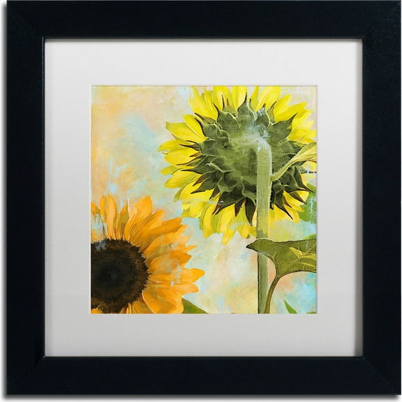 Trademark Fine Art "Soleil II" Canvas Art by Color Bakery, White Matte, Black Frame