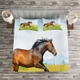 thumbnail image 2 of Ambesonne Animal Quilted Bedspread Set 3 Pcs, Horse Rural Flowers, Queen Size, Green Brown Pale Blue, 2 of 2