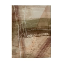 Trademark Fine Art Grace Popp  Peach on Earth I Canvas Wall Art