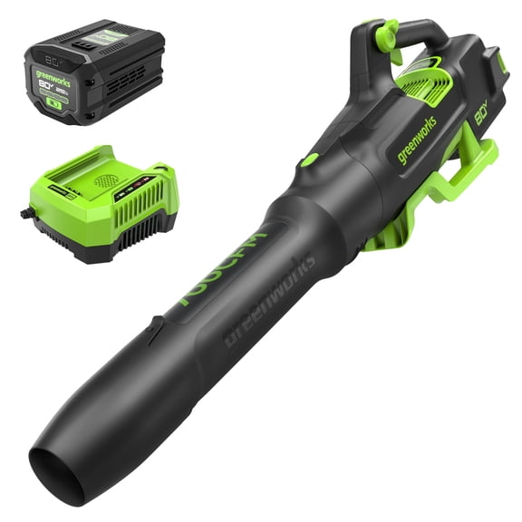 Greenworks 80V 700 CFM Cordless Handheld Leaf Blower, W/2.5Ah Battery and 40 Minute Rapid Charger