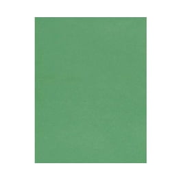 Blank White Cardstock 12” x 12” Inches  65lb Cover (25 Sheets Per Pack 