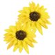 thumbnail image 3 of 2 abrazaderas para cortinas, decoración de cortinas, soportes para cortinas, abrazaderas con forma de girasol, 3 of 8