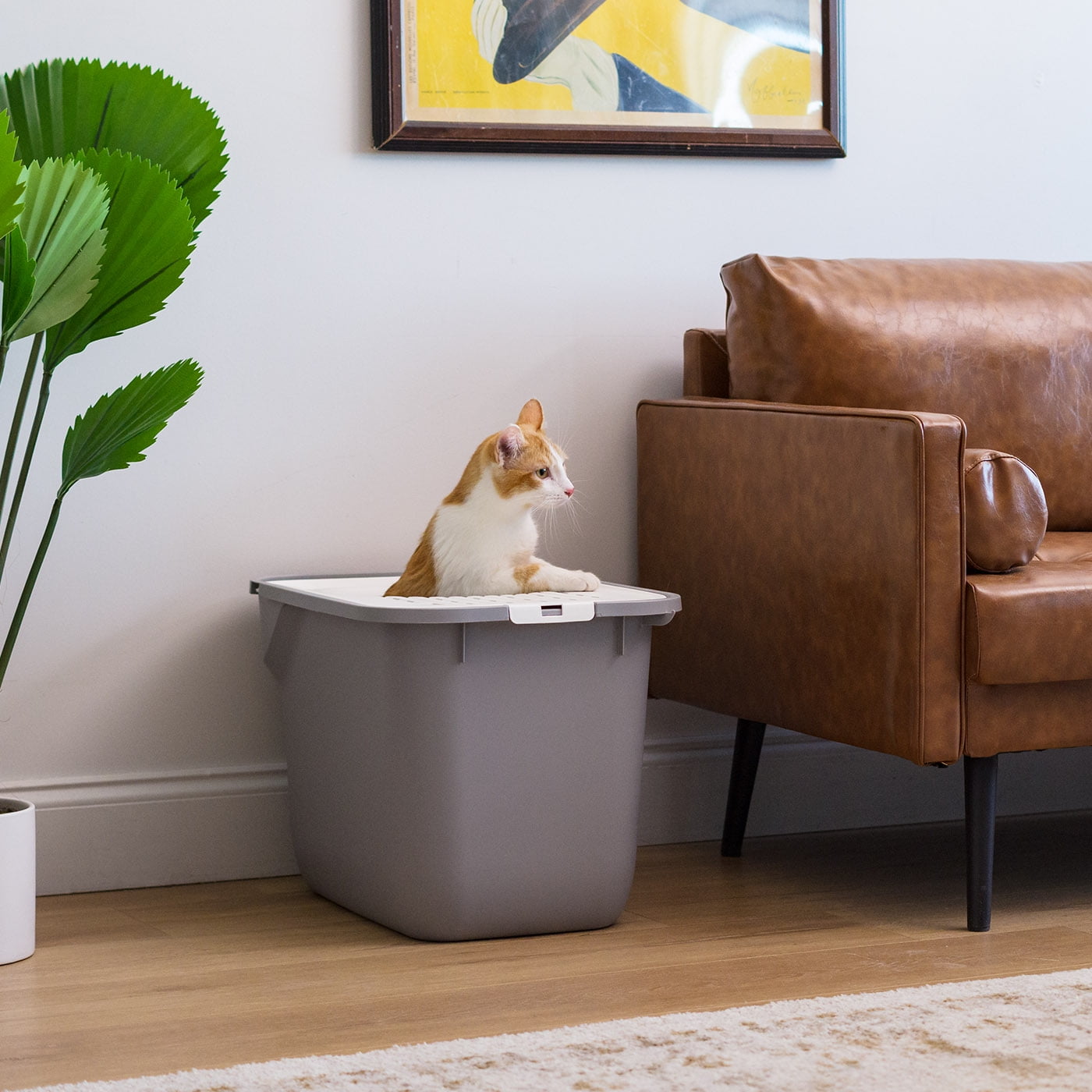 IRIS Square Top Entry Cat Litter Box, Kitty Litter Pan with Litter Particle Catching Cover and Privacy Walls, Gray/White