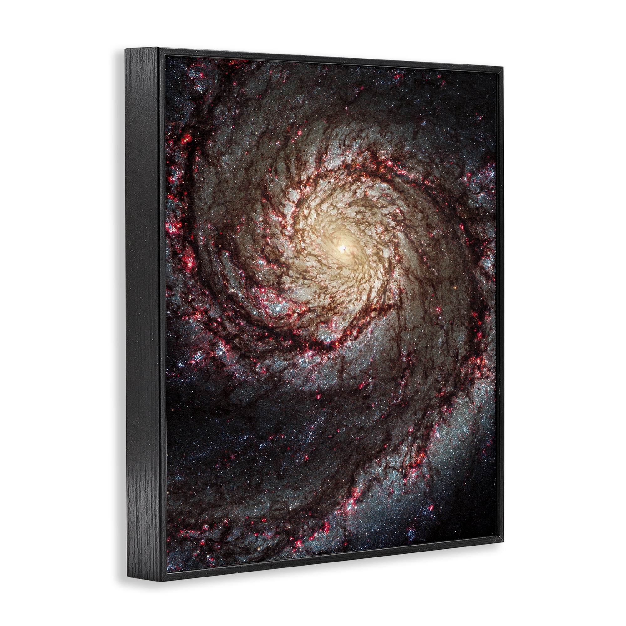 Stupell Industries Great Beyond Nebula Animals & Insects Photography Black Framed Art Print Wall Art, 24 x 30