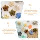 thumbnail image 3 of unbranded 9Ud Pinzas De Plástico Reutilizables Para El Con De Flor Para Decorar Y Sujetar, 3 of 8