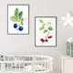 thumbnail image 4 of Adorno de arte de la pared Simple Style Fruit Themed picture Home Colgante Colgante Pinturas para colgar para el hogar Adorno de la sala de estar 4 piezas Jumpingount HA011833-00, 4 of 7