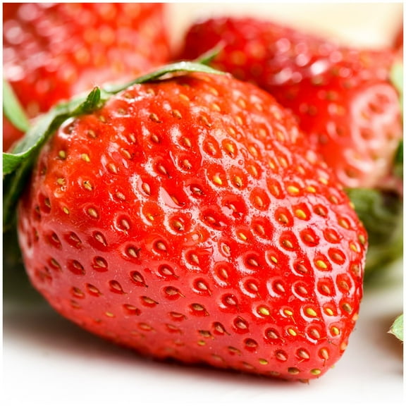 SEBIOLA Juicy Strawberry Seeds Variety Pack MVR1 300  - Non-GMO Heirloom Strawberry Seeds for Planting Indoor-Outdoor Home Garden, Farm