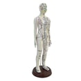 thumbnail image 4 of BELOVING 21.2inch Tall Model Accessory for Professionals Human Body Model Female, 4 of 9