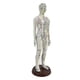 thumbnail image 3 of Modelo De Acupuntura Strade Fareast Limited 21,2 Pulgadas Masculino, 3 of 5