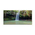 thumbnail image 2 of Twin Falls Maui' Canvas Art by Pierre Leclerc, 2 of 4