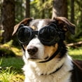 thumbnail image 6 of Goggles For Small Breed Wind/ Puppy With Adjustable Strap White Black Dog Swimsuit Dog Swimsuit Boy Dog Swim Suite Dog Jacket Dog Hiking Gear Water Bunny Hat for Cat And Owner Fan for Car Window for, 6 of 8