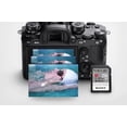 thumbnail image 5 of Tarjeta SDXC UHS-II Sony Serie M 256 GB V60 CL10 U3, 5 of 5