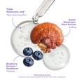 thumbnail image 3 of Protector solar FRUDIA Blueberry Hydrating Air Fit SPF 50 50 ml, 3 of 9