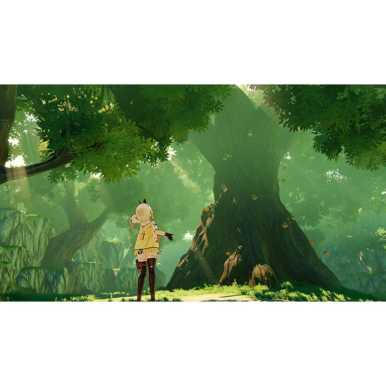 Atelier Ryza: Every Darkness & the Secret Hideout, Koei