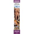 thumbnail image 6 of Ceaco 2000-Piece African Plains Interlocking Jigsaw Puzzle, 6 of 9