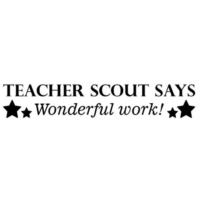 Printtoo Personalized Teachers Stamp Says Wonderful Work! Teachers Name Self-Inking Rubber Stamp Appreciation Message For School Classroom & Homework Supplies,Black-42 x 9 mm