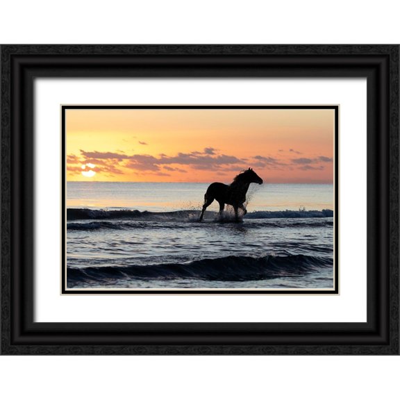 Walker, Carol 14x11 Black Ornate Wood Framed with Double Matting Museum Art Print Titled - Sunset Horse on the Beach