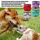 thumbnail image 5 of Teamoy 4 pañales lavables para perros femeninos, pañales reutilizables para perros femeninos, súper absorbentes y cómodos, pequeños, 5 of 5