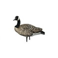 thumbnail image 6 of Open Box Avian X AXP Fusion Honker Goose Decoy Pack, AVX9006, 6 of 19
