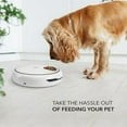 thumbnail image 5 of Arf Pets Automatic Pet Feeder, 5 Meal Food Dispenser for Dogs, Cats and Small Pets, 5 of 6