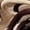 Khaki, variant on Women's Chunky Dad Sneakers, Street Style Platform Shoes Autumn New Fashion Casual Sports Shoes
