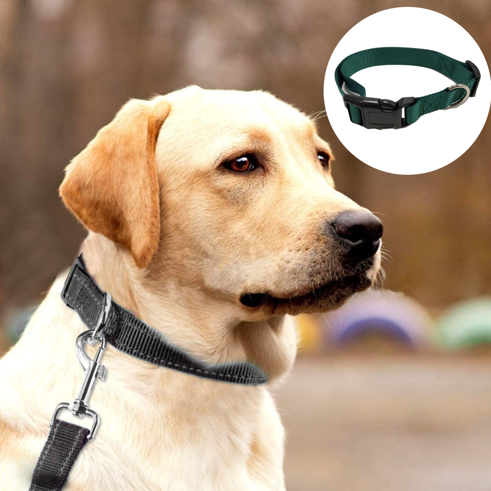 Carhartt Pet Fully Adjustable Webbing Collars for Dogs, Reflective Stitching for Visibility - image 4 of 5