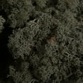 thumbnail image 2 of Vickerman Natural Botanicals 2 lb. Silver Gray Reindeer Moss, Preserved., 2 of 3