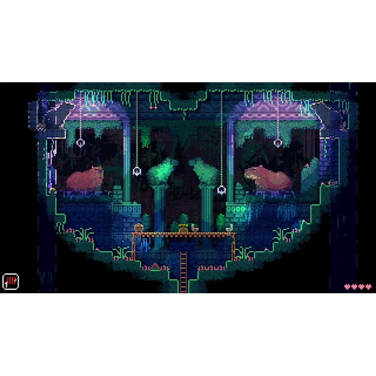 Amazon.com: Animal Well (Limited Run #234) – Nintendo Switch