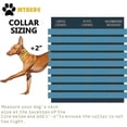 thumbnail image 3 of Gold Dog Chain Choke Collar,solid Cuban Link Strong, Heavy Duty Chew Resistant With Design Secure Buckle And Blank B Shape Id Tag, 3 of 5