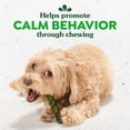 thumbnail image 4 of Greenies Occupy Twists Chicken Flavor Natural Dog Treats Petite Size, 17.5 oz Pack (20 Count), 4 of 8