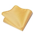 thumbnail image 1 of Nvzi-c Mens Silk Pocket Square Set Handkerchiefs-9*9inch，A25, 1 of 4