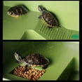 thumbnail image 6 of Multifunctional Turtle Basking Platform Imitate Natural Habitat Amphibious Crawling Rest Shelf Aquarium Water Tank Pet Turtle Climbing Leisure Terrace Reptile Daily Activity Habitat Layout Accessory, 6 of 8