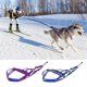 thumbnail image 3 of Arnés de tracción para perros de exterior, ideal para paseos y entrenamiento de trineo, incluye correa para auto, color azul, tamaño L, comodidad y control mejorados., 3 of 7