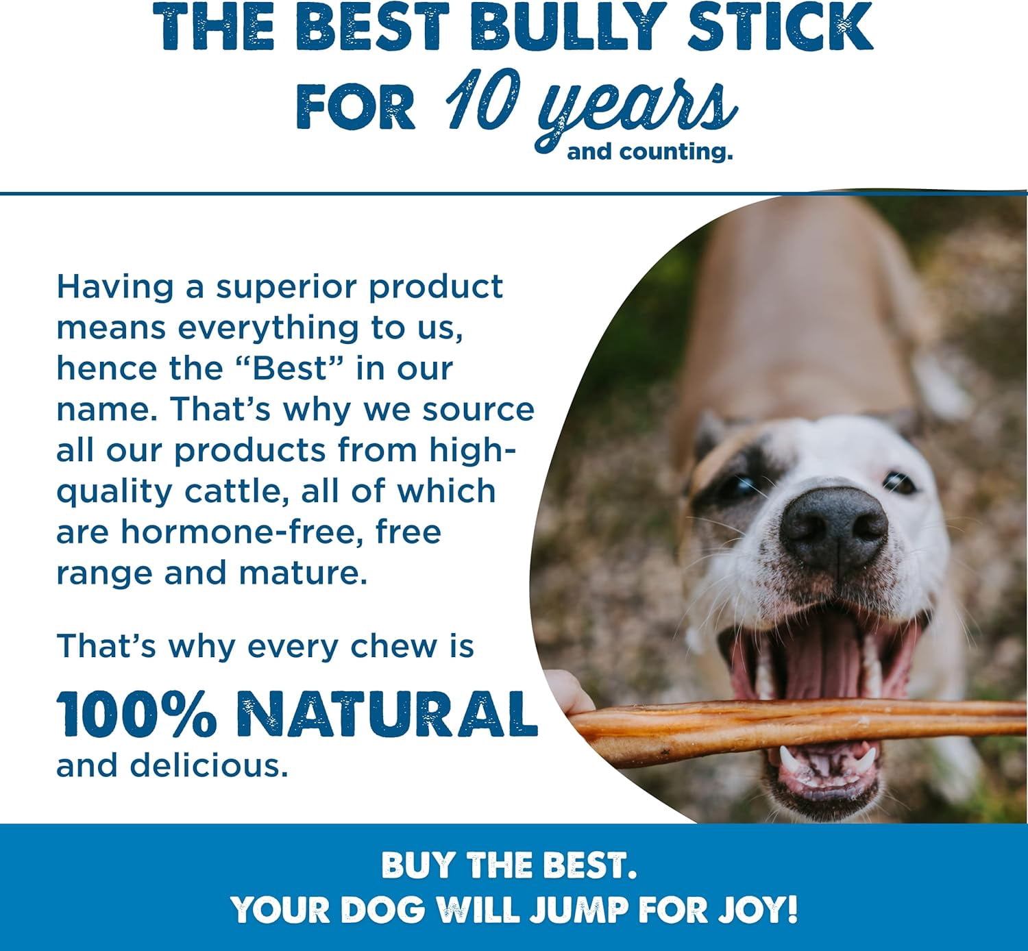 Best Bully Sticks 12 Inch Bully Sticks - 25 Count (Pack of 1) - All-Natural, Fully Digestible, 100% Grass-Fed, Grain and Rawhide Free