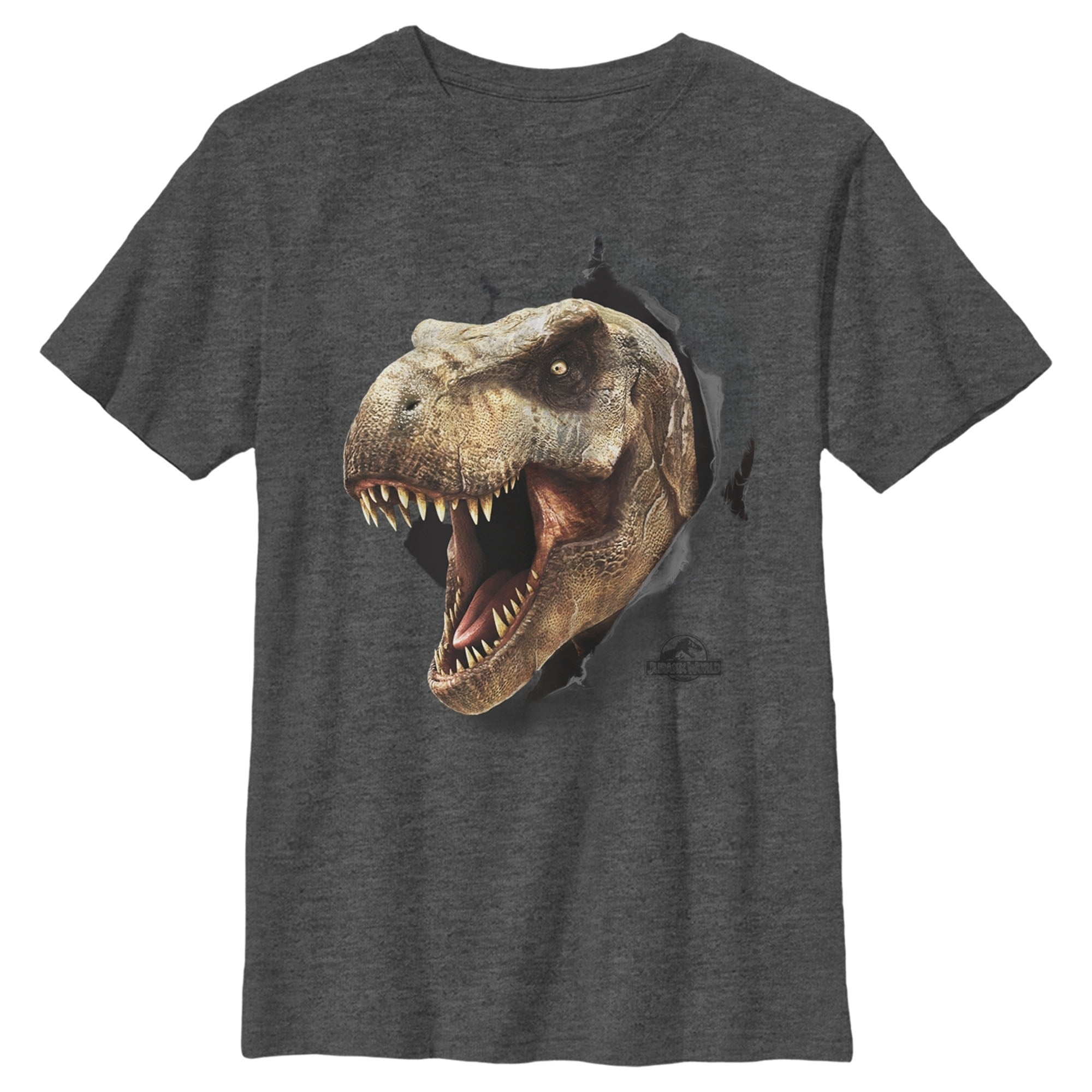 Boy's Jurassic World T. Rex Escape  Graphic Tee Charcoal Heather Small