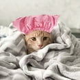 thumbnail image 1 of HAMPPLIES Gorro Para Ducha De Mascotas Impermeable Con Ajustable Protección Para Orejas Rosa, 1 of 8