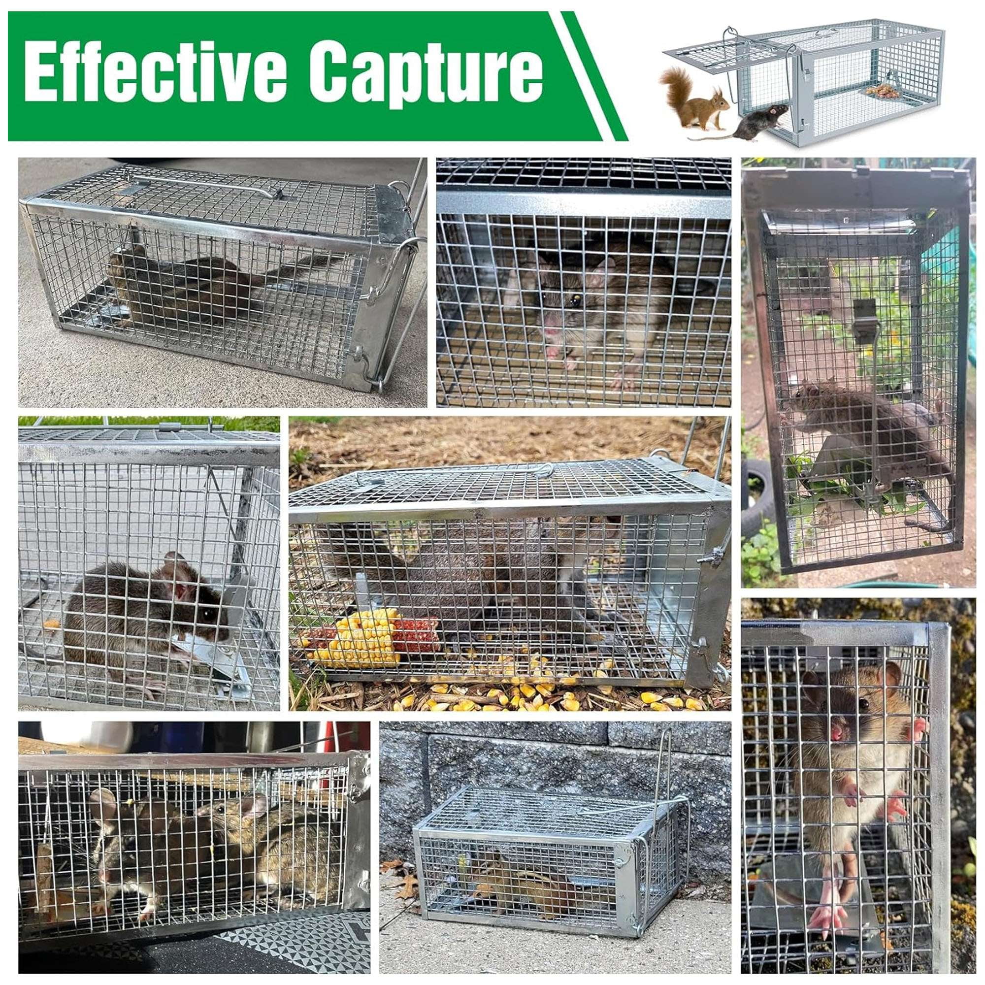 Deago 2 Pack Humane Rat Trap Mouse Traps Cage for Indoor or Outdoor, Small Rodent Chipmunk Squirrel Trap Live Animal Cage Catch and Release