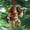 C, variant on Christmas Sasquatch Ornament with Hanging, Wildlifes Wonders Collection Ornament, Christmas tree decoration,
