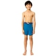 thumbnail image 5 of Rugged Shark Boys 6" Inseam Swim Trunks, Sizes 4-16, 5 of 10