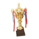 thumbnail image 1 of Trofeos de premios grandes Copa de trofeos Premios Competiciones Recompensa ganadora Trofeo ganador 36cm, 1 of 9