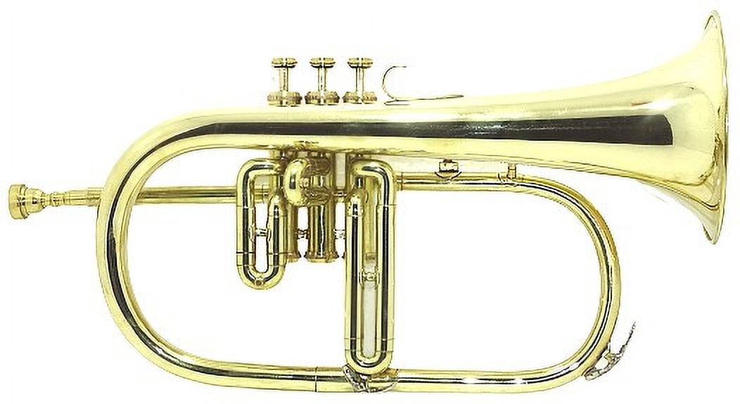 SHREYAS FLUGEL HORN BRASS FINISH BB PITCH W HARDCASE MP BRASS FLUGLEHORN