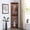 Walnut, variant on Cherry Display Cabinet, Lights, Tempered Glass Shelves, Mirrored Back Lighted Curio Demonstration With And