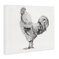 thumbnail image 2 of Stupell Industries Rustic Lodge Rooster in Charcoal Canvas Art, 20 x 16, by Leah Noel Art, 2 of 8