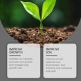 thumbnail image 6 of Soil Activator for Plants,Soil Pro Activator,Soilactivator for Fruit Trees-Enhance Growth for Vegetables & All Plants,Garden,Indoor & Outdoor (1pcs), 6 of 6
