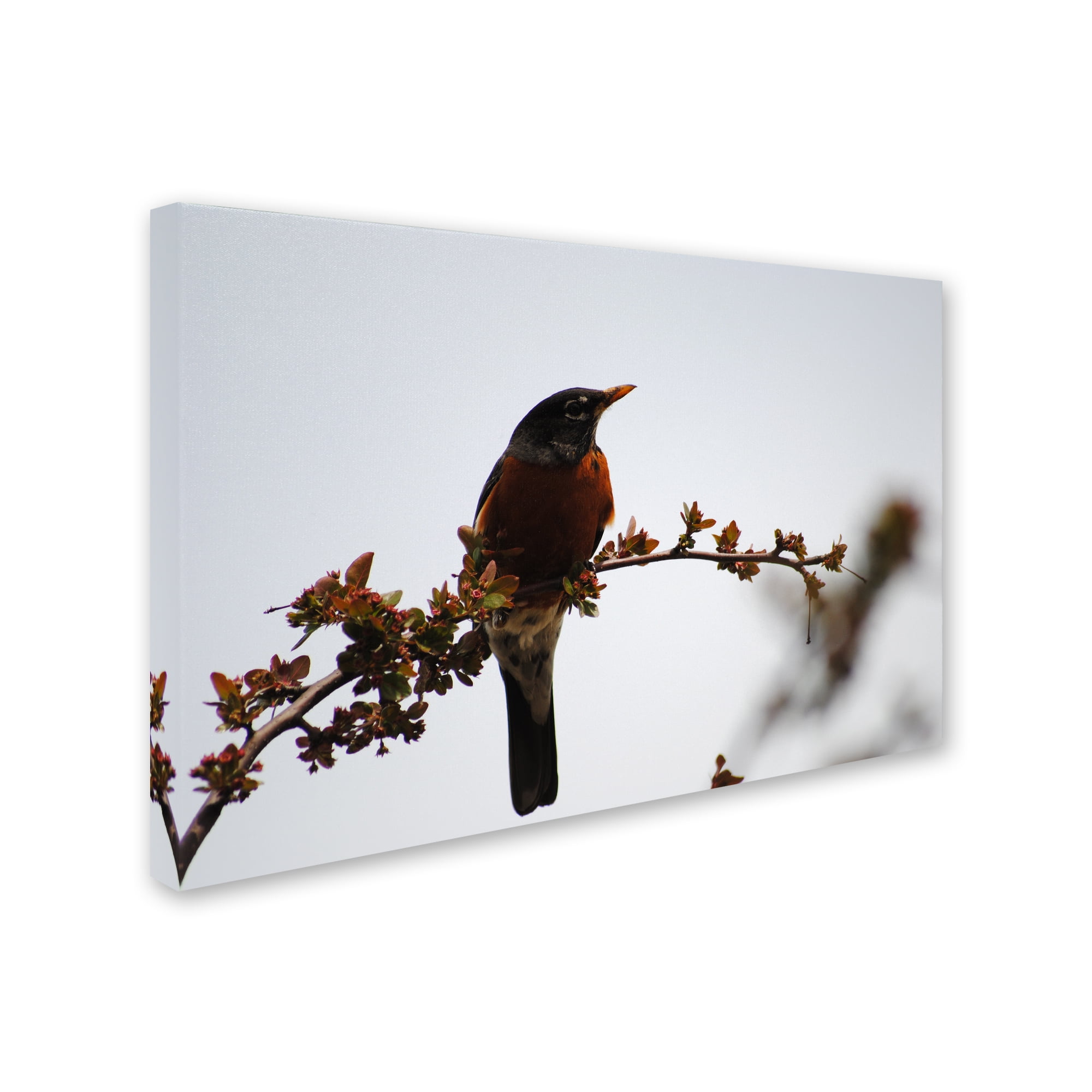 Trademark Fine Art "Guardian" Canvas Art by Monica Mize