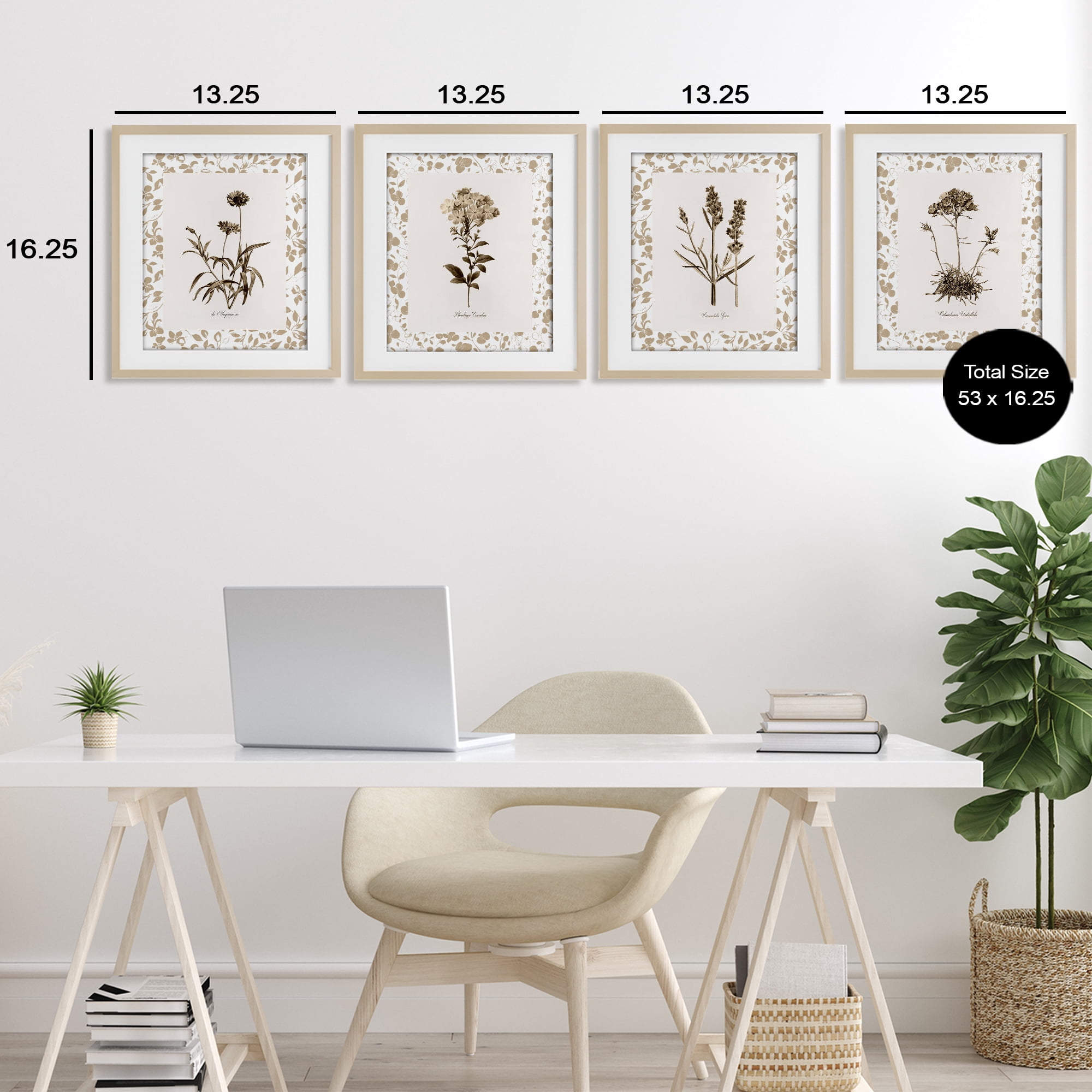 Stupell Industries Neutral Imperial Flower Studies 4 Piece Birch Framed Print Under Glass Set, design by Kelly Donovan