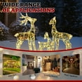thumbnail image 3 of 3-Piece 2.4 FT 2D Family Elk Christmas Decoration 110L Warm White LED String Lights, Durable Iron Frame & Plastic, Courtyard Elk Decoration, Rainbow, 3 of 9