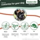 thumbnail image 3 of The Company of Animals BASKERVILLE Ultra Dog Muzzle Prevents Chewing and Biting, Basket allows Panting and Drinking-Comfortable ShopWise Round, 3 of 6
